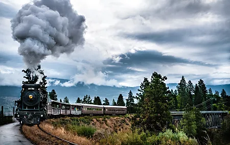 火车 树木 蒸汽机车 机车 车辆 户外 烟雾 数字 蒸汽火车 