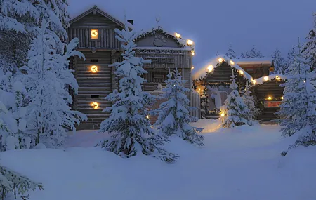 雪 森林 冬天 小屋 芬兰 