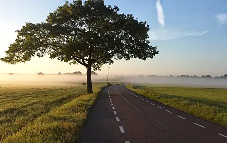 自然 风景 树木 薄雾 道路 日出 草 云 天空  电脑壁纸 4K壁纸