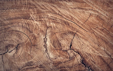 木质表面 图案 棕色 极简主义 木质 
