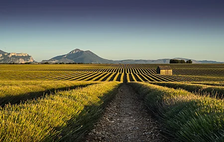 农田 建筑 山脉 自然 风景 晴朗 天空 道路 田野  电脑壁纸 4K壁纸