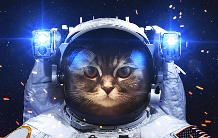 宇航员 猫 太空 艺术 创意 宇宙 星空 科幻 电脑壁纸 4K壁纸