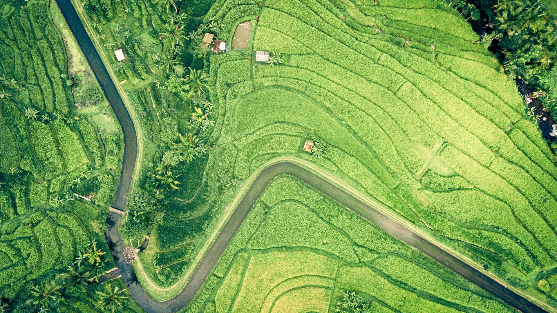 自然 水 风景 田野 鸟瞰 绿色  电脑壁纸 4K壁纸