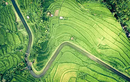 自然 水 风景 田野 鸟瞰 绿色 