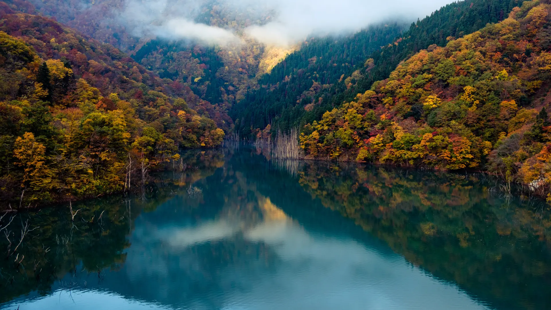 森林 河流 水 自然 风景 云  电脑壁纸 4K壁纸