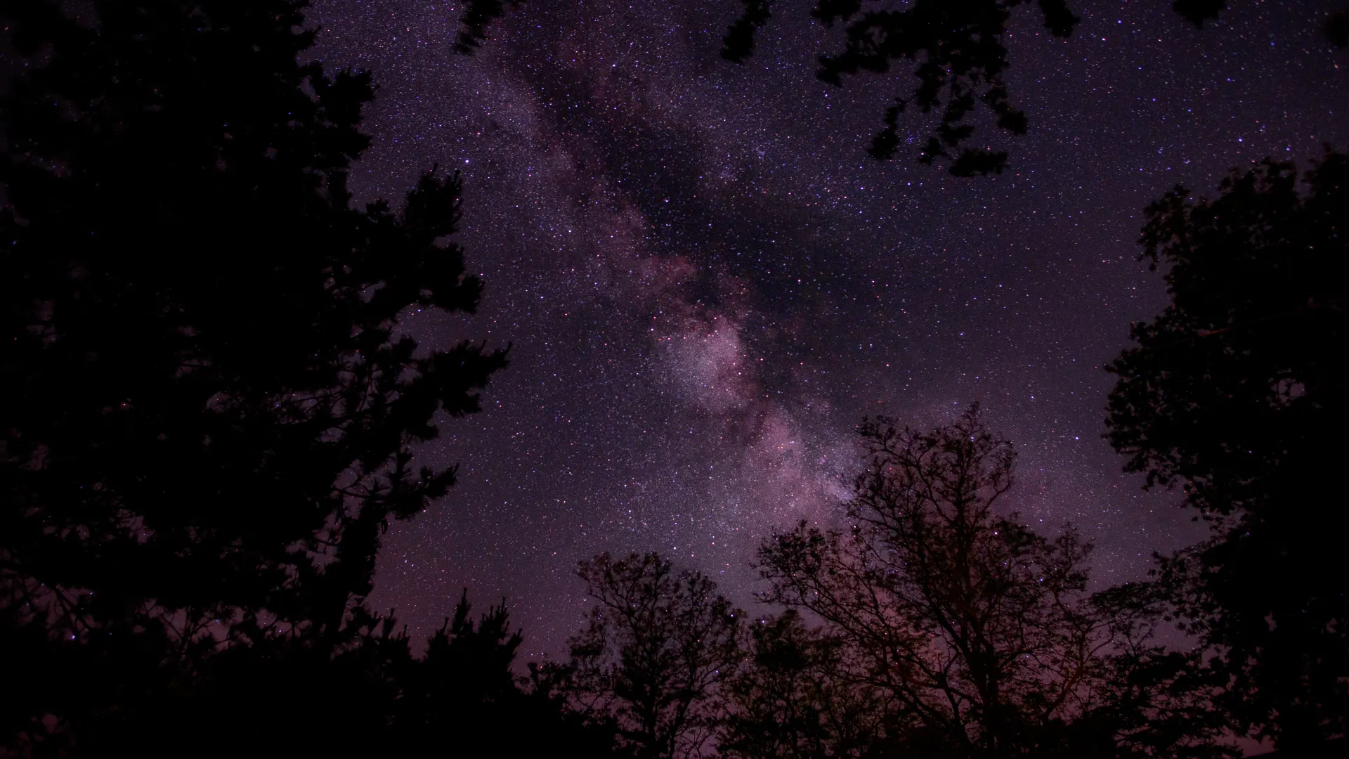 自然 树木 天空 星星 景观 夜晚  电脑壁纸 4K壁纸