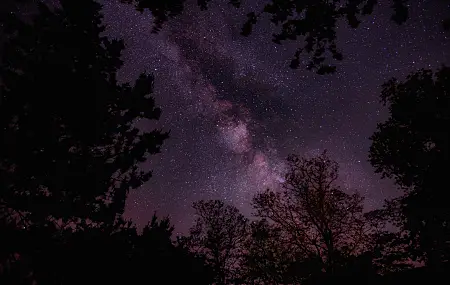 自然 树木 天空 星星 景观 夜晚  电脑壁纸 4K壁纸