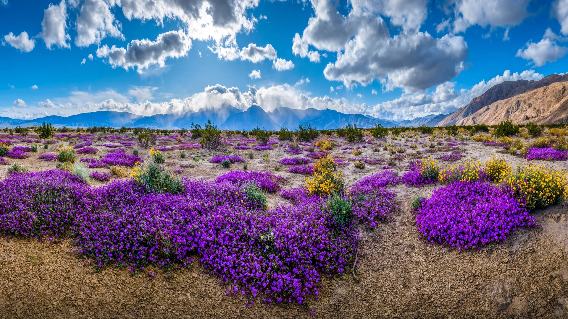 紫色 天空 自然 风景 云 花 山  电脑壁纸 4K壁纸