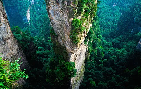 森林 中国 悬崖 山 绿色 夏天 国家公园 自然 景观 鸟瞰图 亚洲 