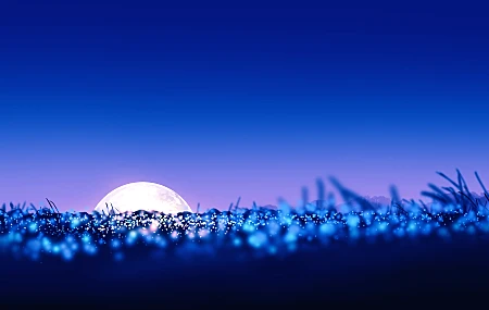 优雅 AI艺术 图片 插图 风景 夜间 夜景 紫色 宽屏 超宽 月亮 现场 