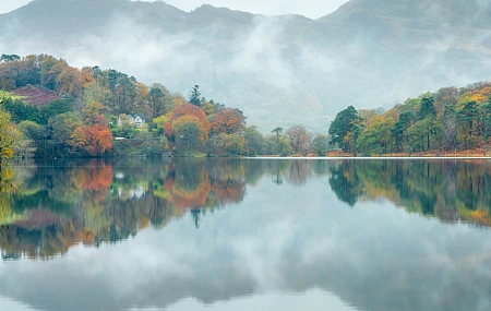 风景 自然 水 森林 秋天 湖泊 倒影 树木  电脑壁纸 4K壁纸