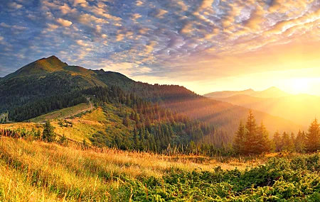 风景 自然 日落 云 天空 夕阳辉光 绿色 树木 山脉 