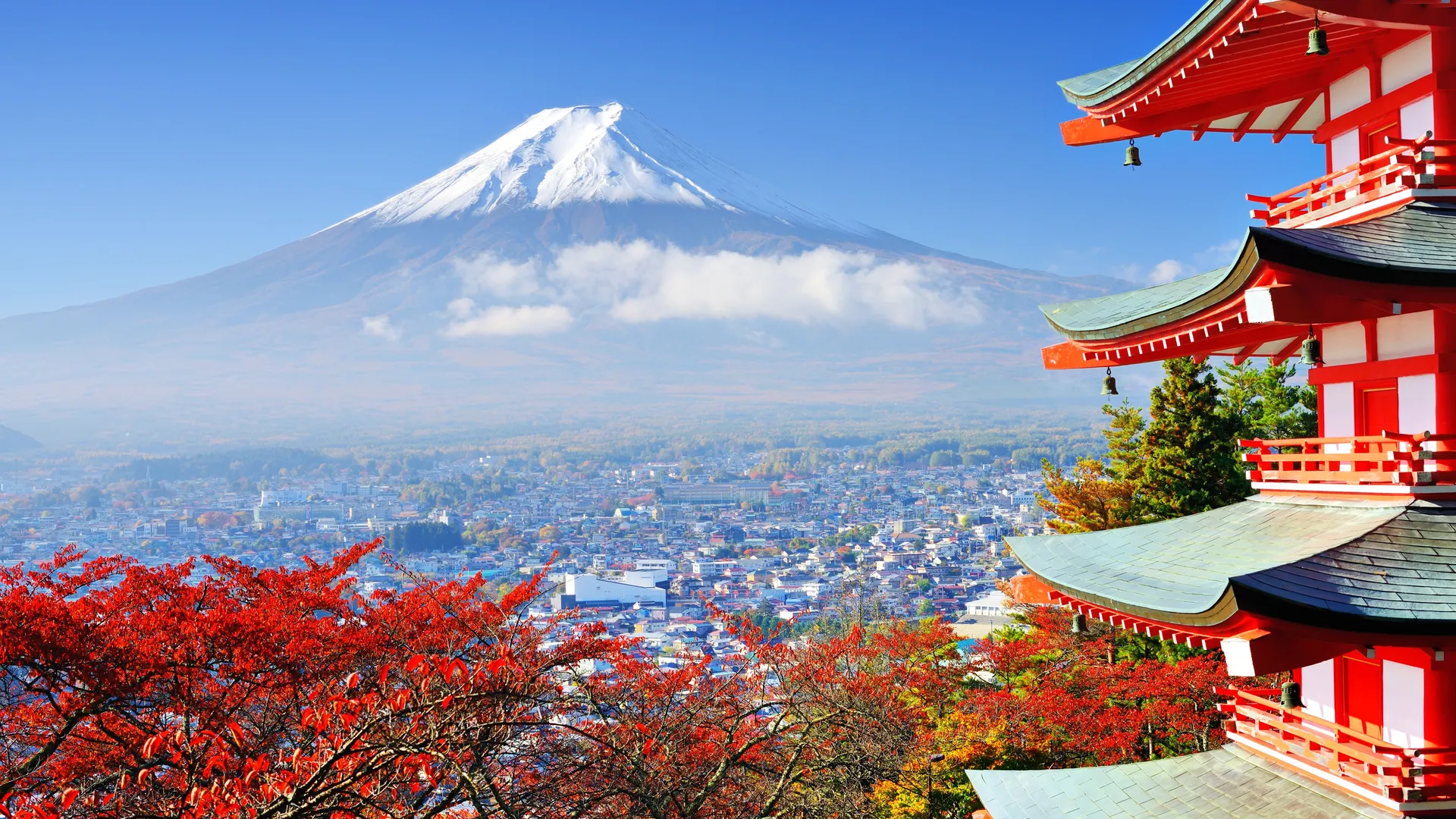  天际线 富士山 火山  风景 建筑 樱花 电脑壁纸 4K壁纸