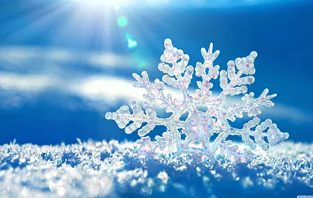 雪花 冬季 微距 雪 蓝色背景 霜冻 寒冷 冰 阳光 冰晶 