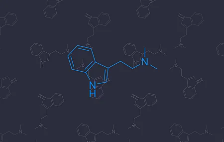 药物 化学 分子模型 迷幻 极简主义 彩色 二甲基色胺 