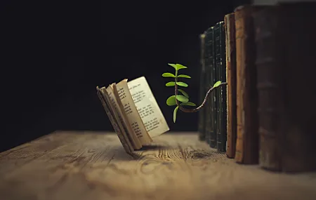 棕色 书籍 微型模型 植物 阅读 