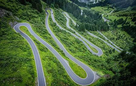 道路 森林 树木 绿色 山脉 自然 风景 丘陵 草地 户外  4K壁纸