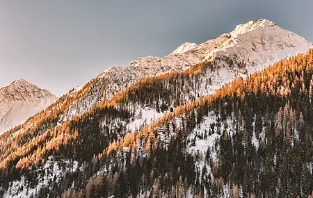 山脉 阿尔卑斯山 雪 自然 风景 雪峰 雪山  4K壁纸