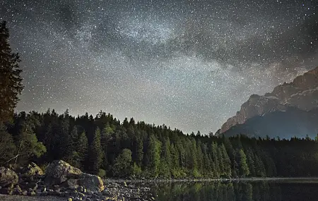 地下城 森林 星夜 树木 湖泊 山脉 景观 自然 4K壁纸