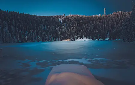 冬天 森林 风景 山 雪 树 