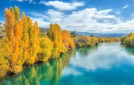 特雷·拉特克利夫 摄影 河流 秋天 树木 新西兰 水 反射 天空 云 自然