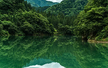 树 山 水 湖 