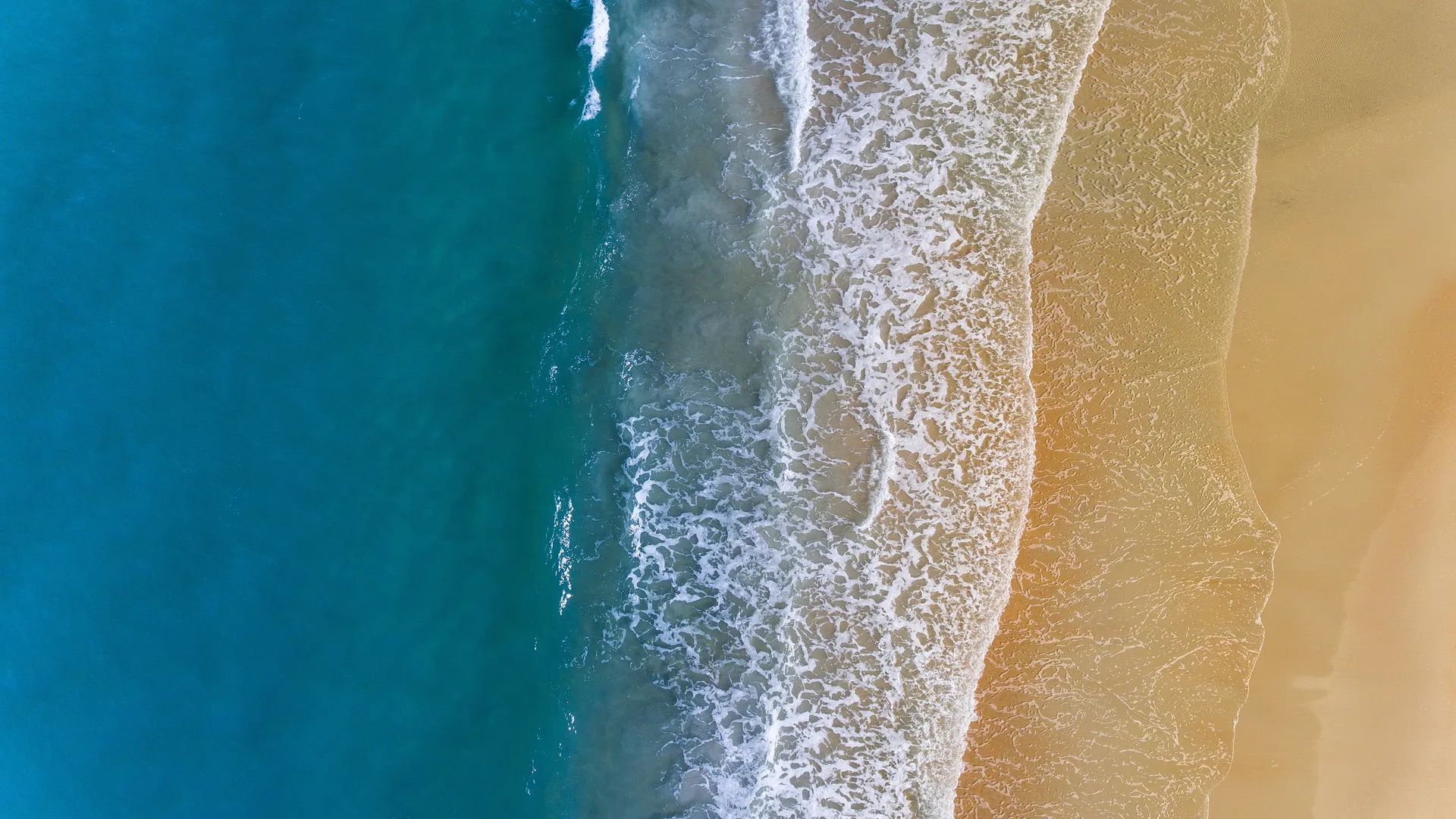 自然 水域 海滩 鸟瞰 大海 