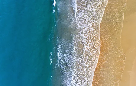 自然 水域 海滩 鸟瞰 大海 