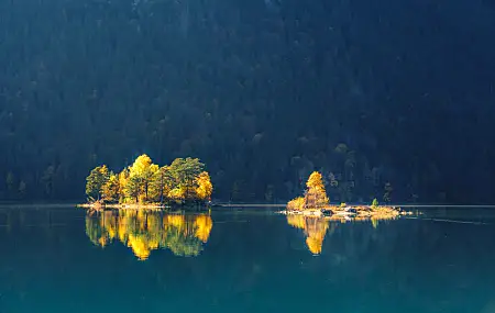 风景 树木 湖泊 水 自然 