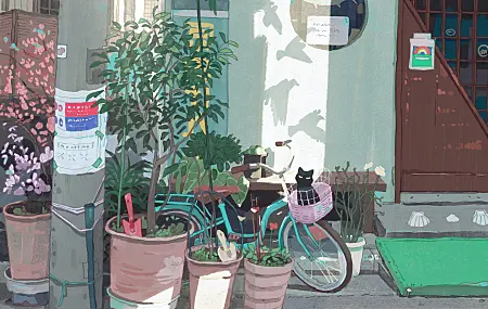 阳光 邦乔伊 AI艺术 数字绘画 和平 街头艺术 植物 角落 黑猫 花盆 树叶 猫 动物 4壁纸