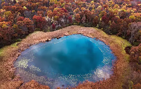 自然 秋天 树木 池塘 水 