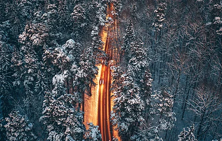 道路 鸟瞰 树木 雪地 户外 森林 冬季 