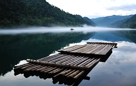 竹子 丛林 风景 自然 4K壁纸