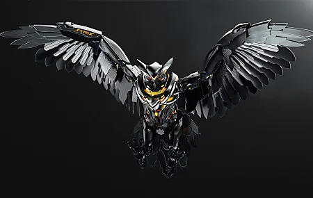 华硕 猫头鹰 游戏 技术 简单背景 AI艺术 动物 鸟类 黑色背景 