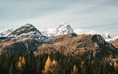 风景，山脉，雪，森林，自然，电脑壁纸，4K壁纸