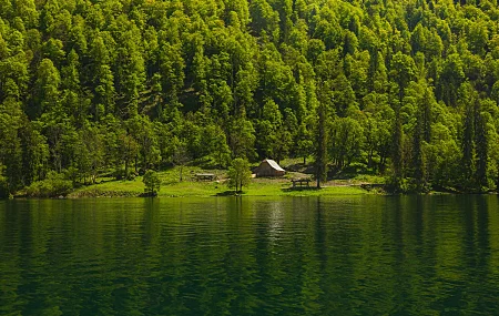 森林 水 绿色 倒影 树木 山脉 房屋 河流 风景 自然 丘陵 木屋 