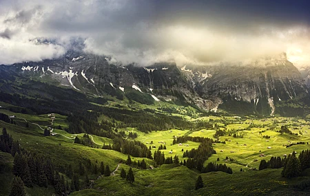 风景 绿色 自然 瑞士 树木 山脉 