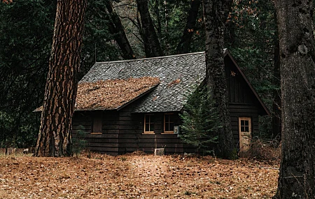风景 自然 山脉 树木 森林 建筑 房屋 树叶 小屋 