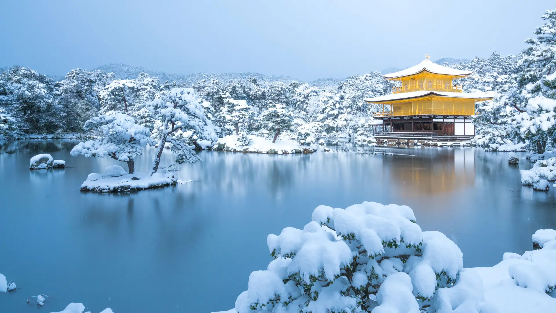 京都 金阁寺 冬季 自然 湖泊 雪 亚洲 水 寒冷 冰 建筑 树木 