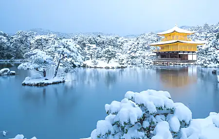 京都 金阁寺 冬季 自然 湖泊 雪 亚洲 水 寒冷 冰 建筑 树木 