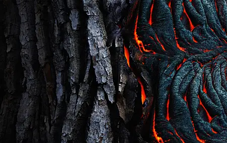 抽象 熔岩 黑色 树皮 