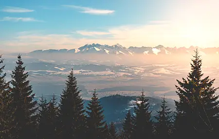 景观 自然 森林 山 云 远景 