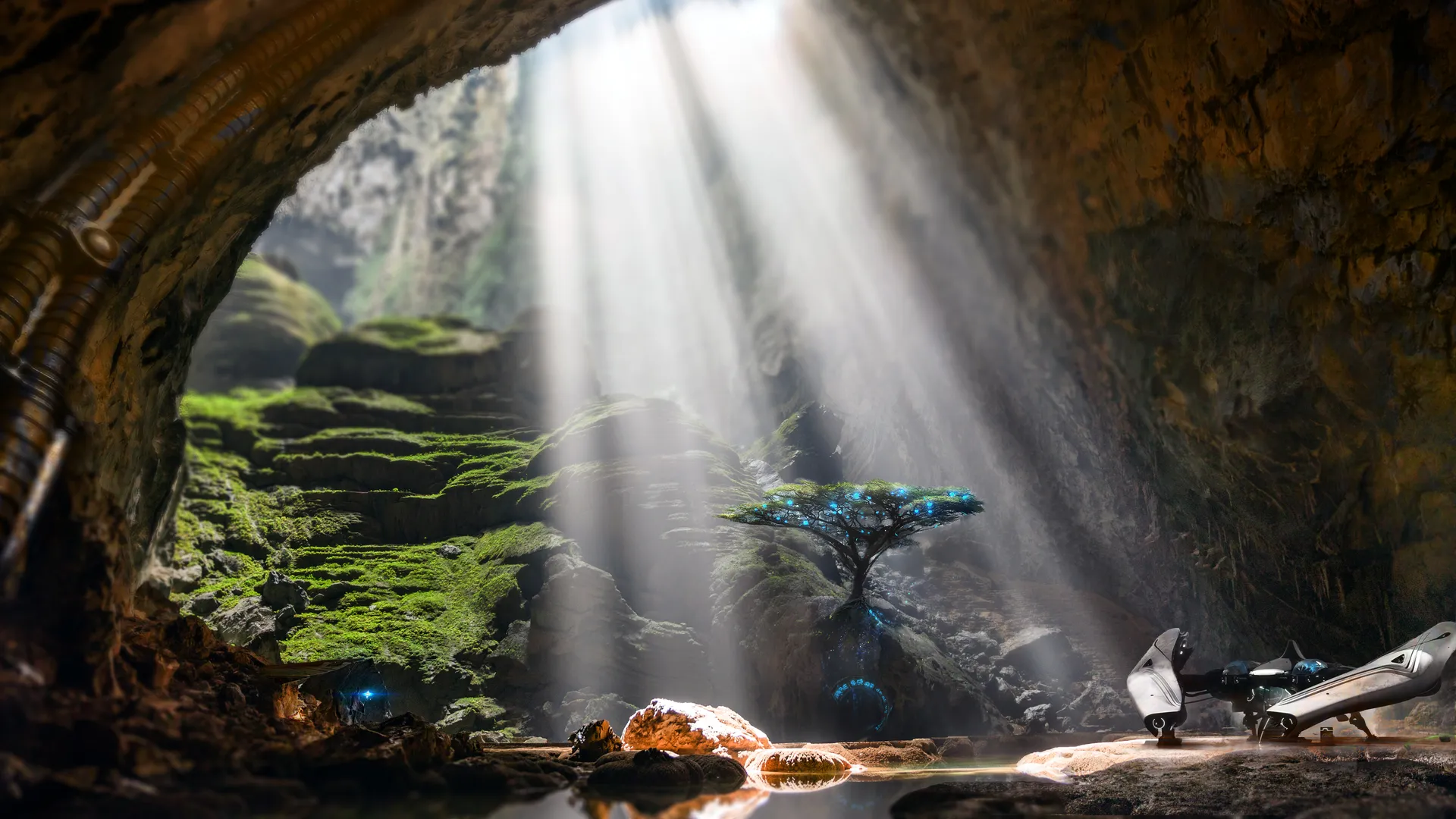 岩石 洞穴 树木 水 苔藓 阳光 