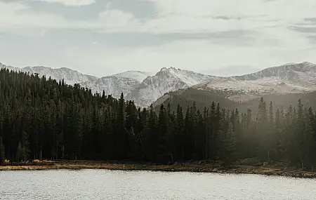 风景 水 树 森林 山 雪 自然 