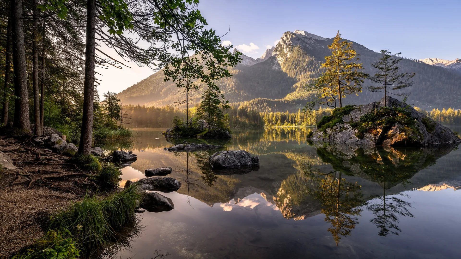 自然 夏天 树 水 山 湖 