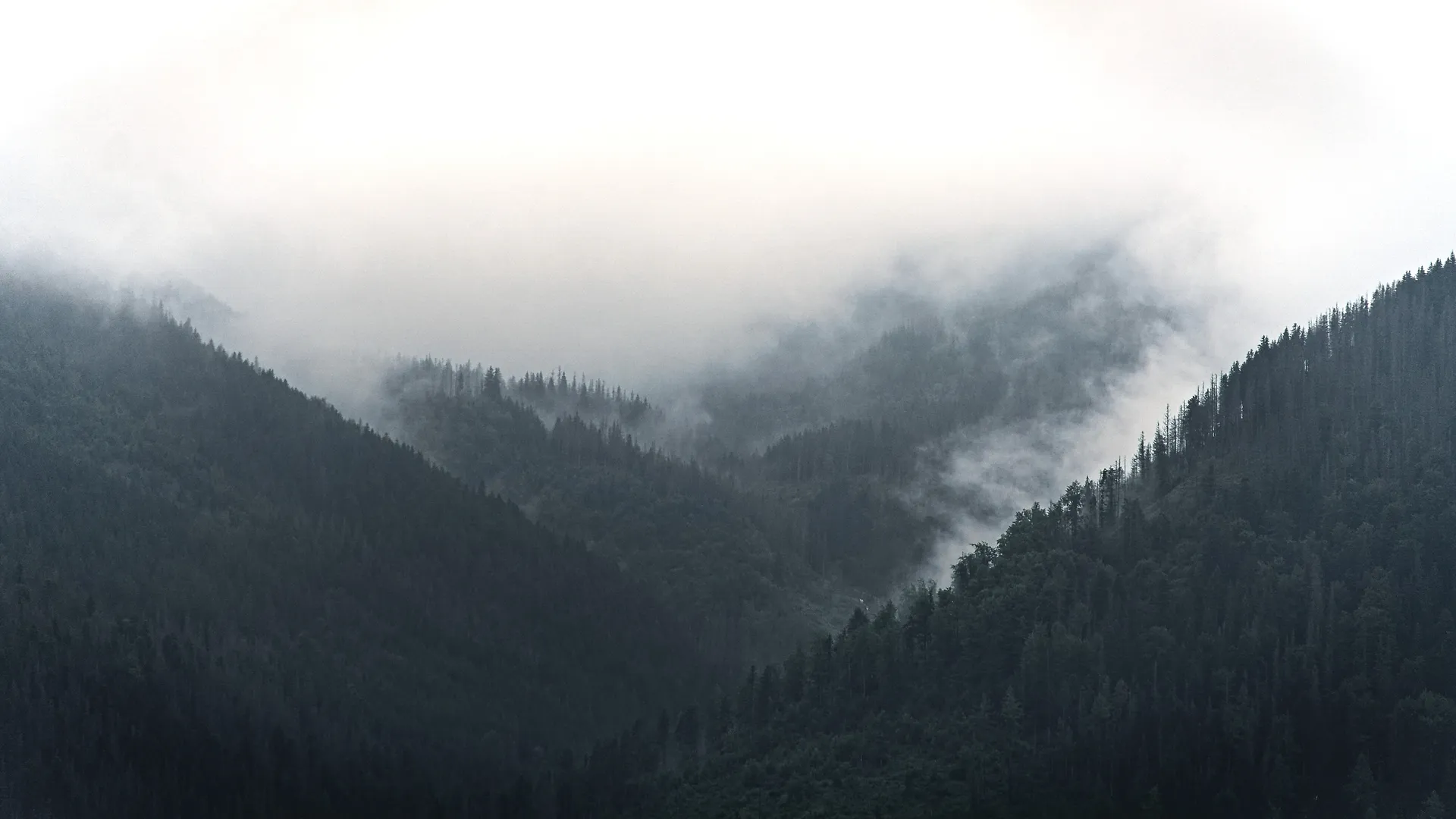 山 雾 自然 摄影 