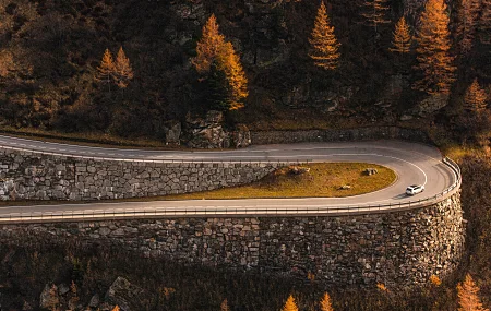 森林 秋天 曲折的道路 行驶的汽车 瑞士 松树 