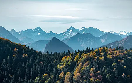 风景 自然 山脉 森林 树木 天空 云 