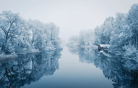 自然 冬季 水 反射 树木 雪 寒冷 户外 河流  电脑壁纸 4K壁纸