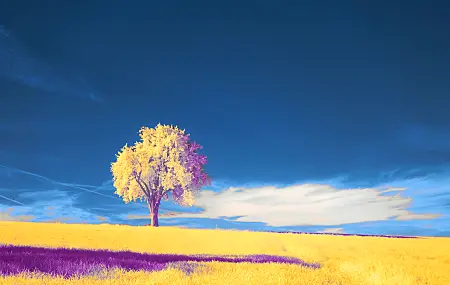 自然 风景 绘画 云 天空 树木  电脑壁纸 4K壁纸